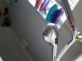 voyeurcam-charleys-bathroom avatar