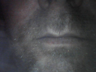 adam_kream avatar