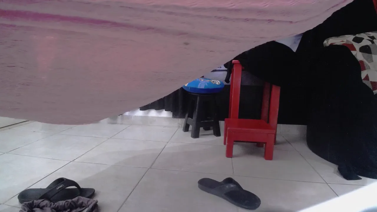 SAPIA_SEXUAL