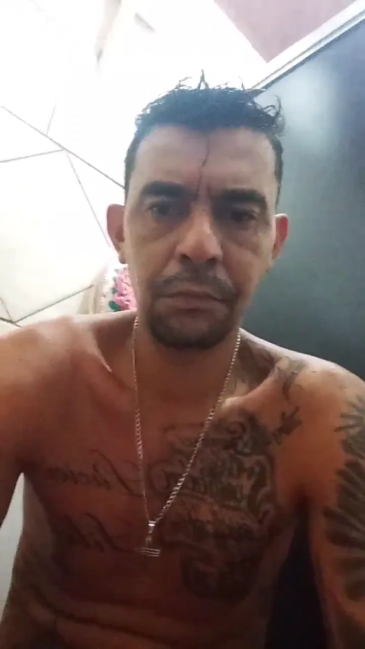 Ferndo2026
